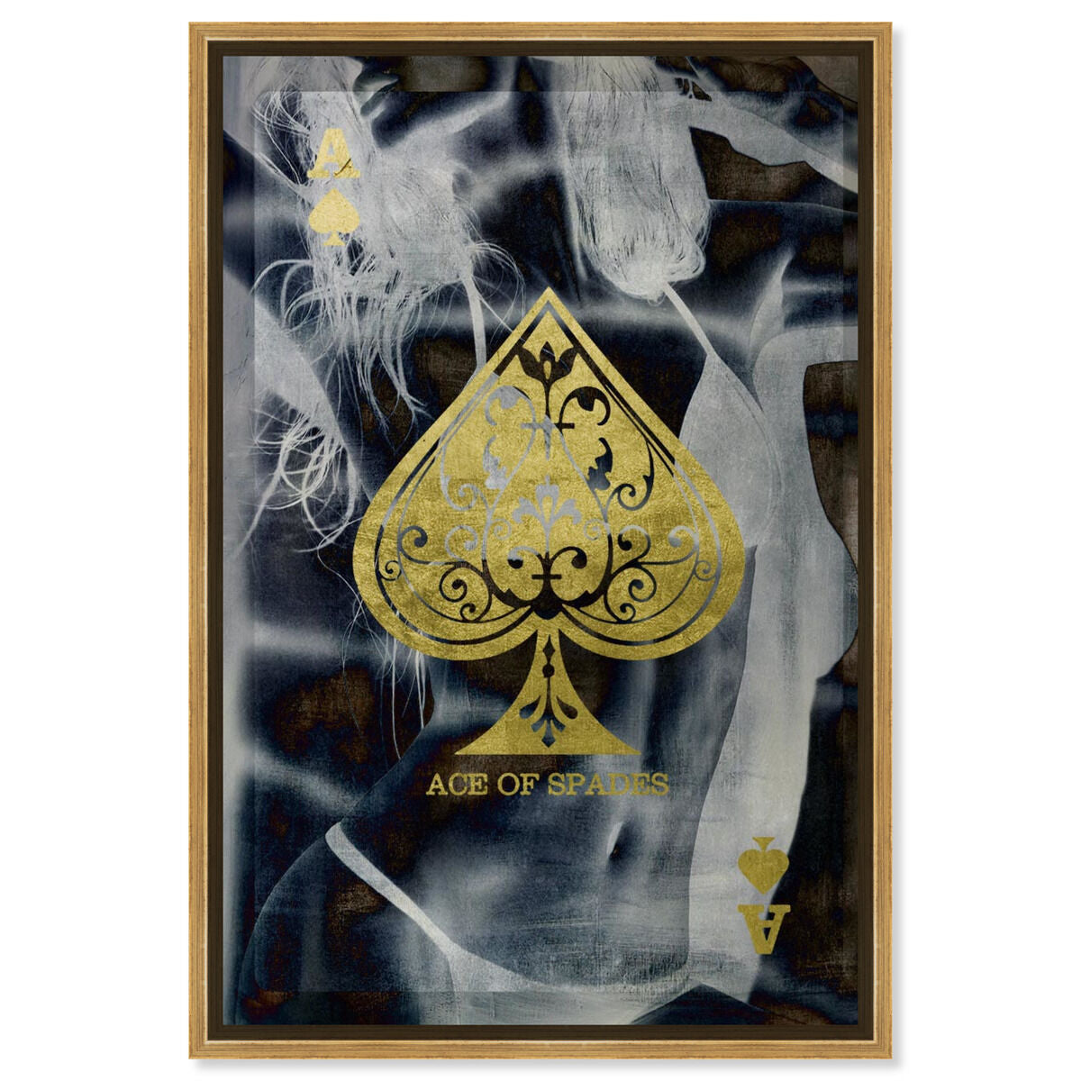 36x54/Framed Canvas/PSGLD