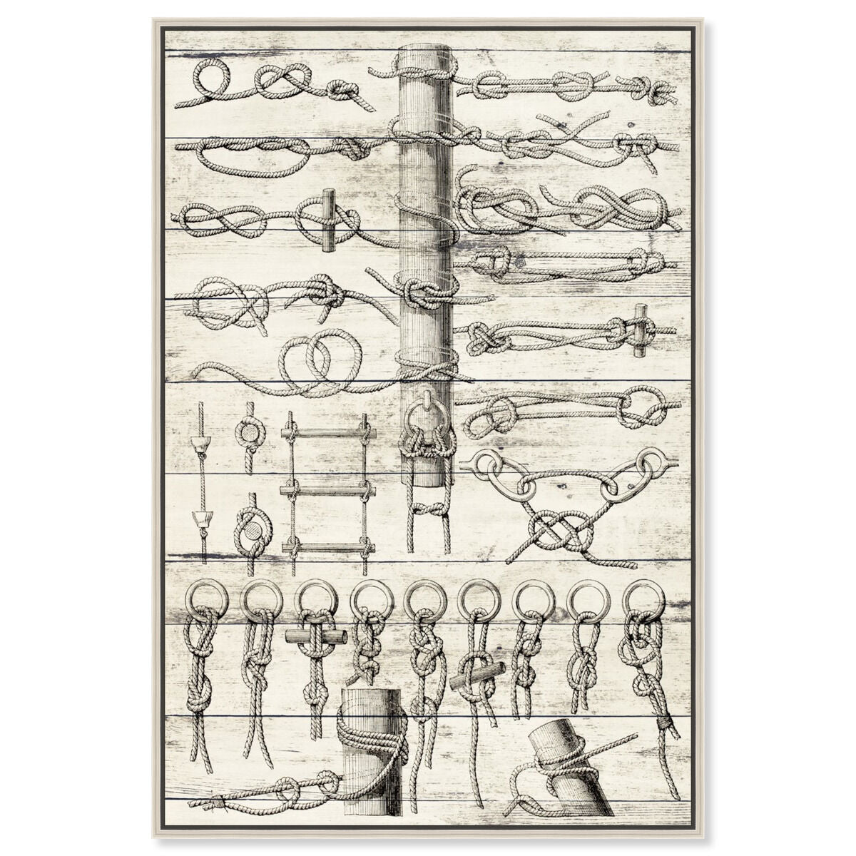Sea Knots