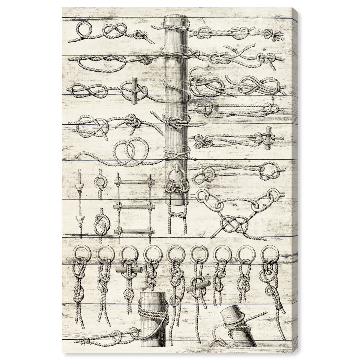 Sea Knots