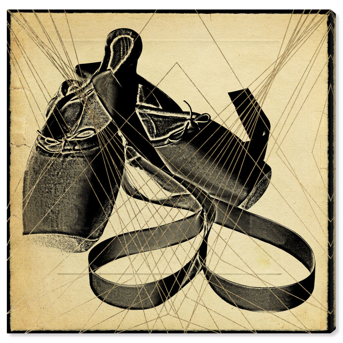 Ballet Shoes Print