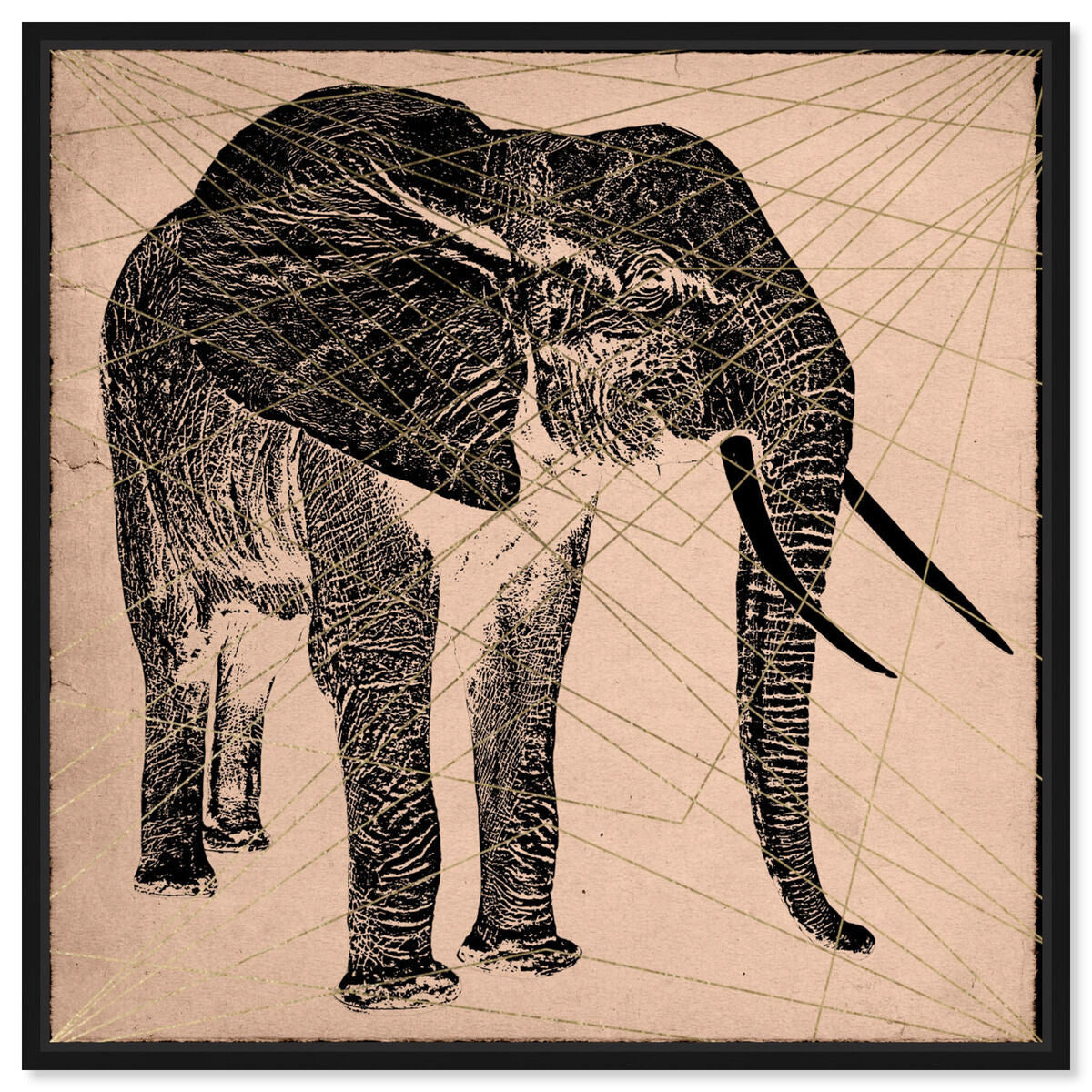 Elephant Print