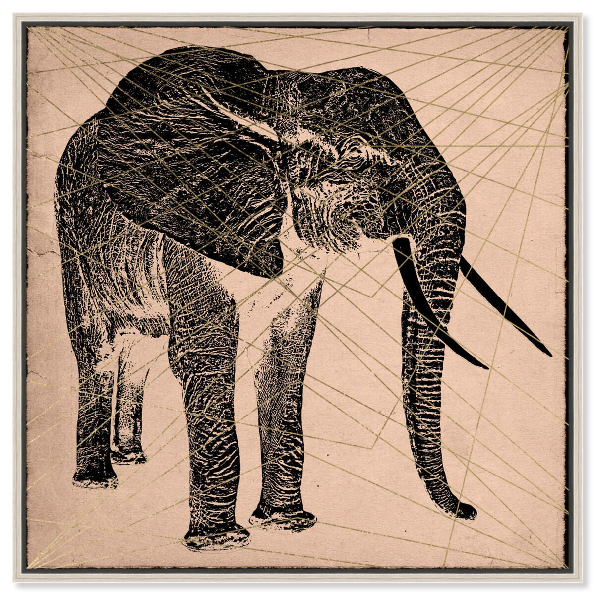 Elephant Print