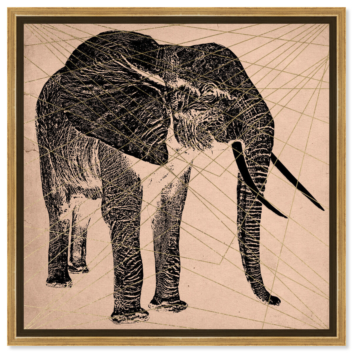 Elephant Print