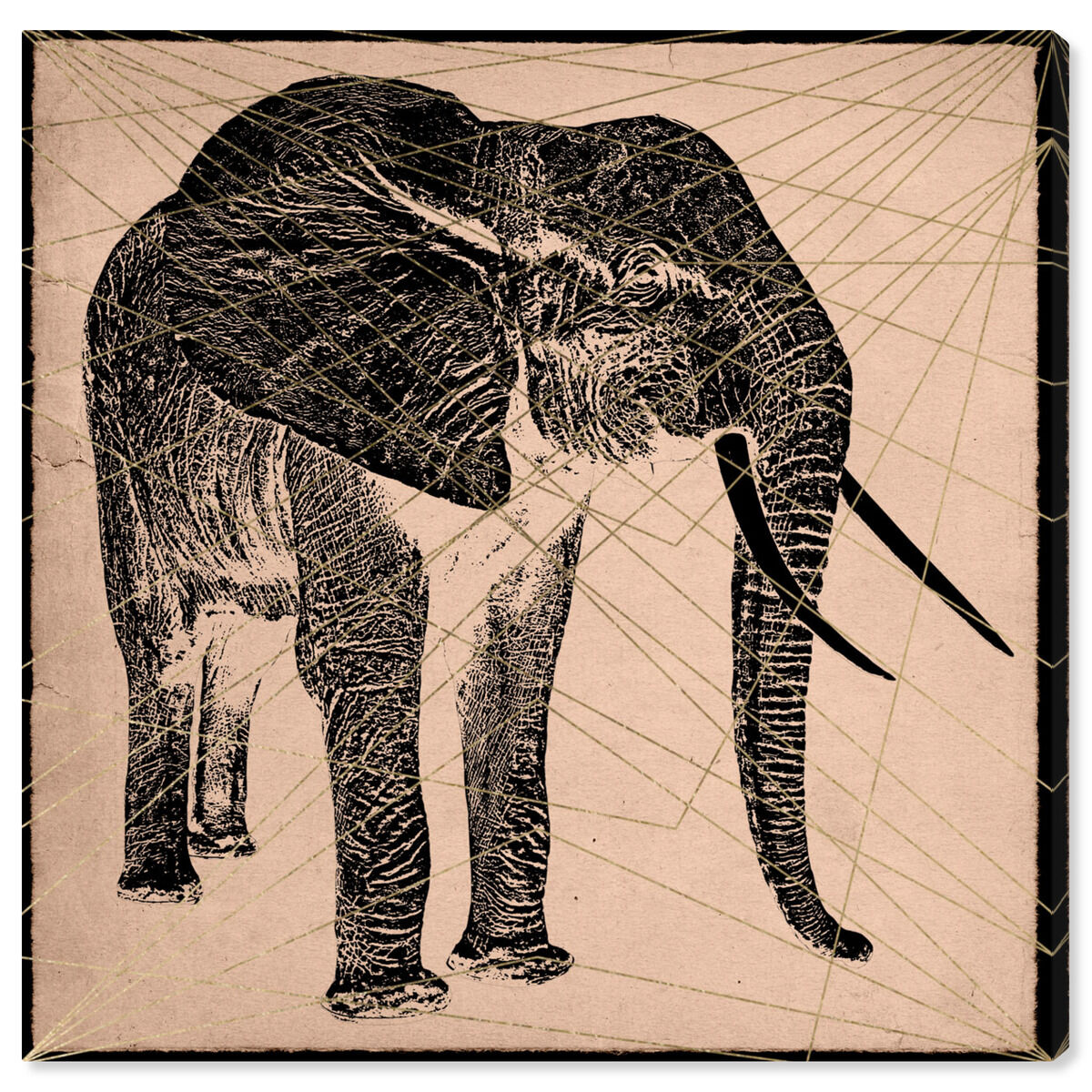 Elephant Print
