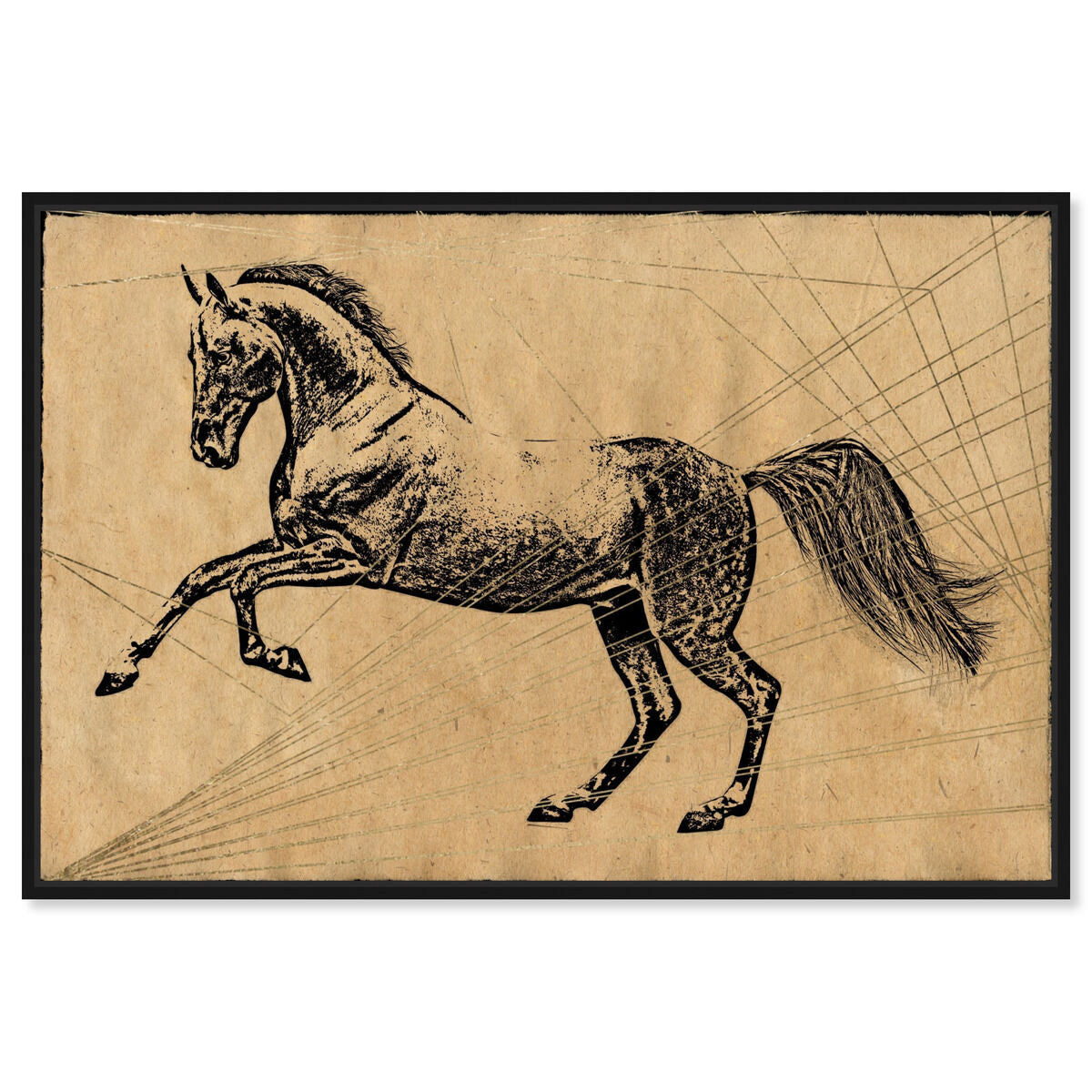 Horse Print