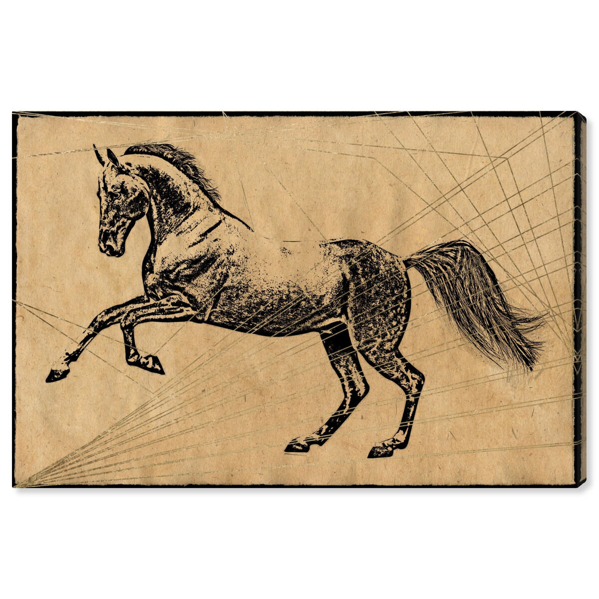 Horse Print