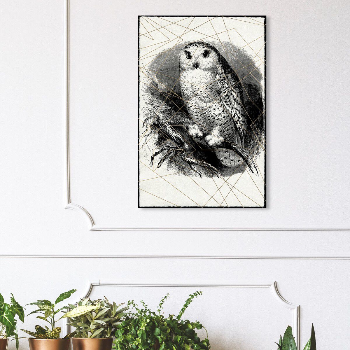 Owl Print