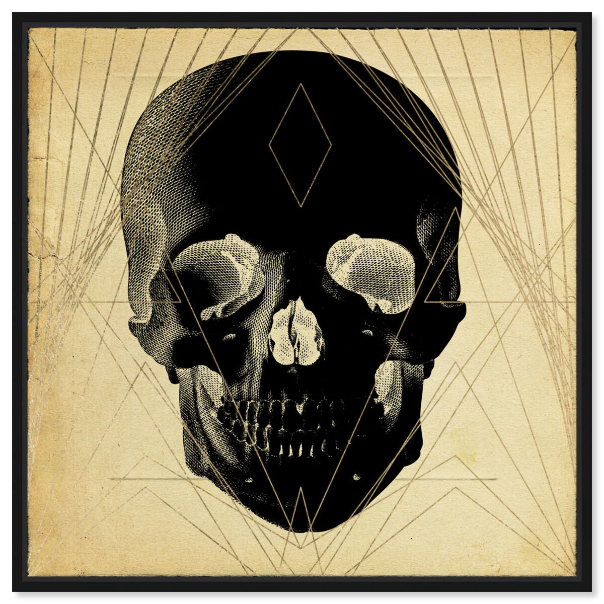 Skull Front Print