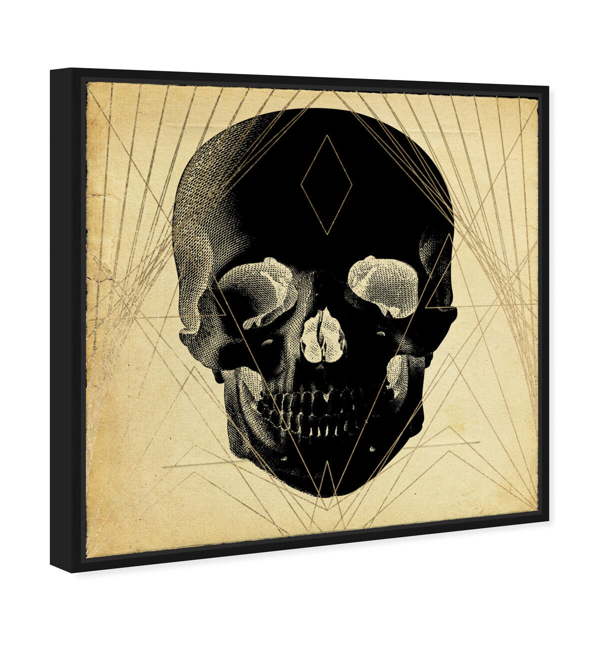 40x40/Framed Canvas/BFL