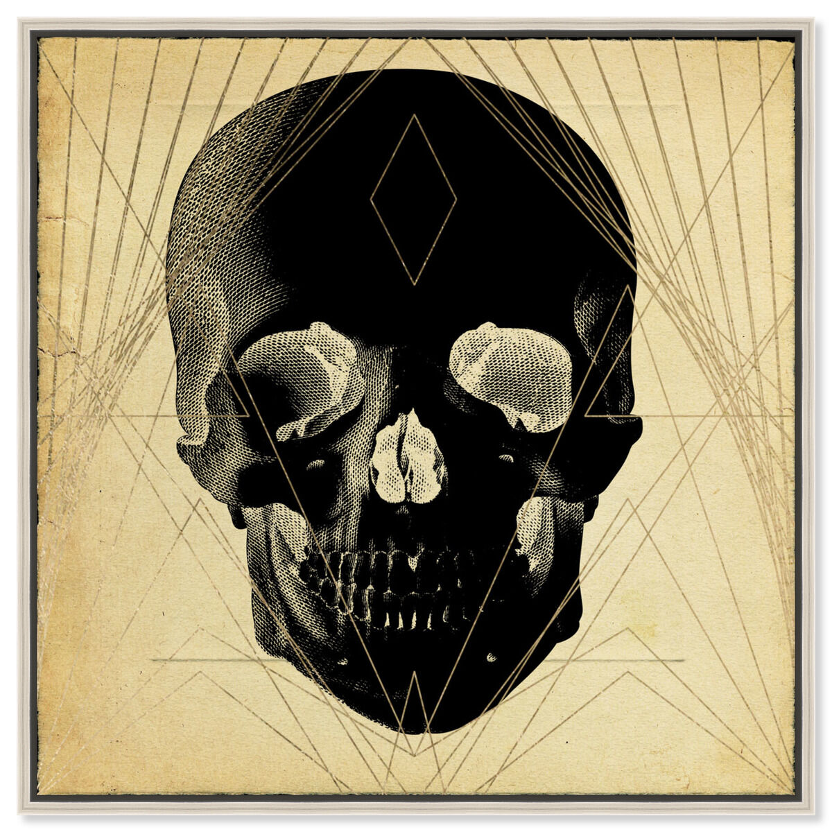 Skull Front Print