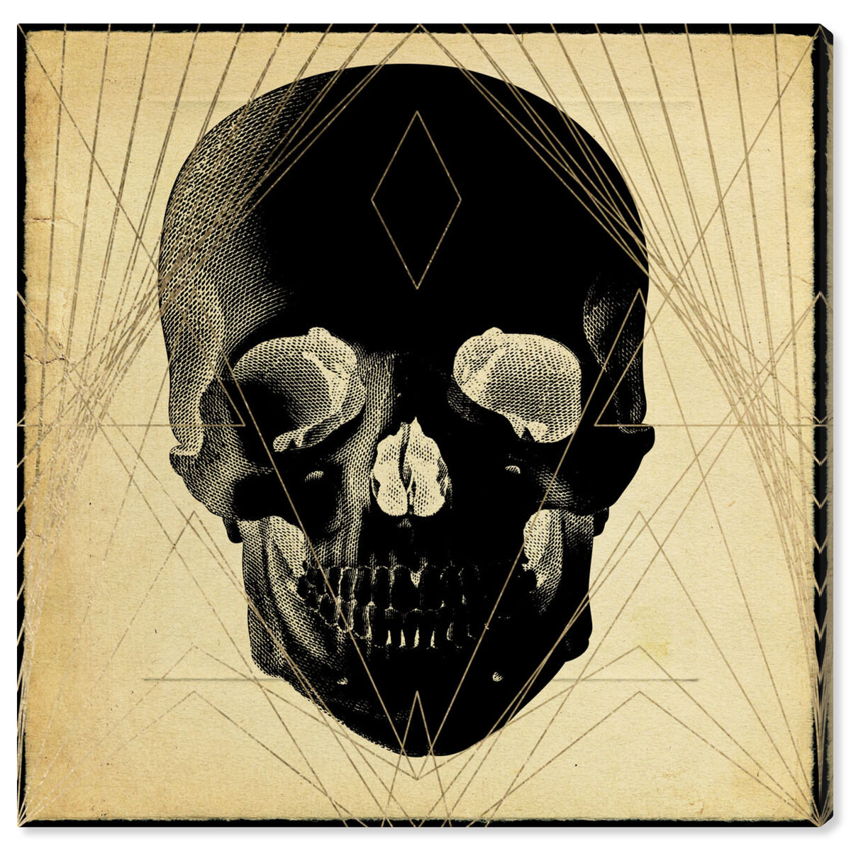 Skull Front Print
