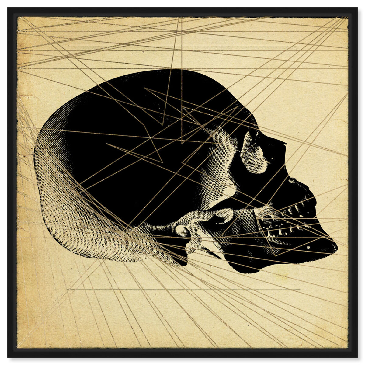 Skull Side Print