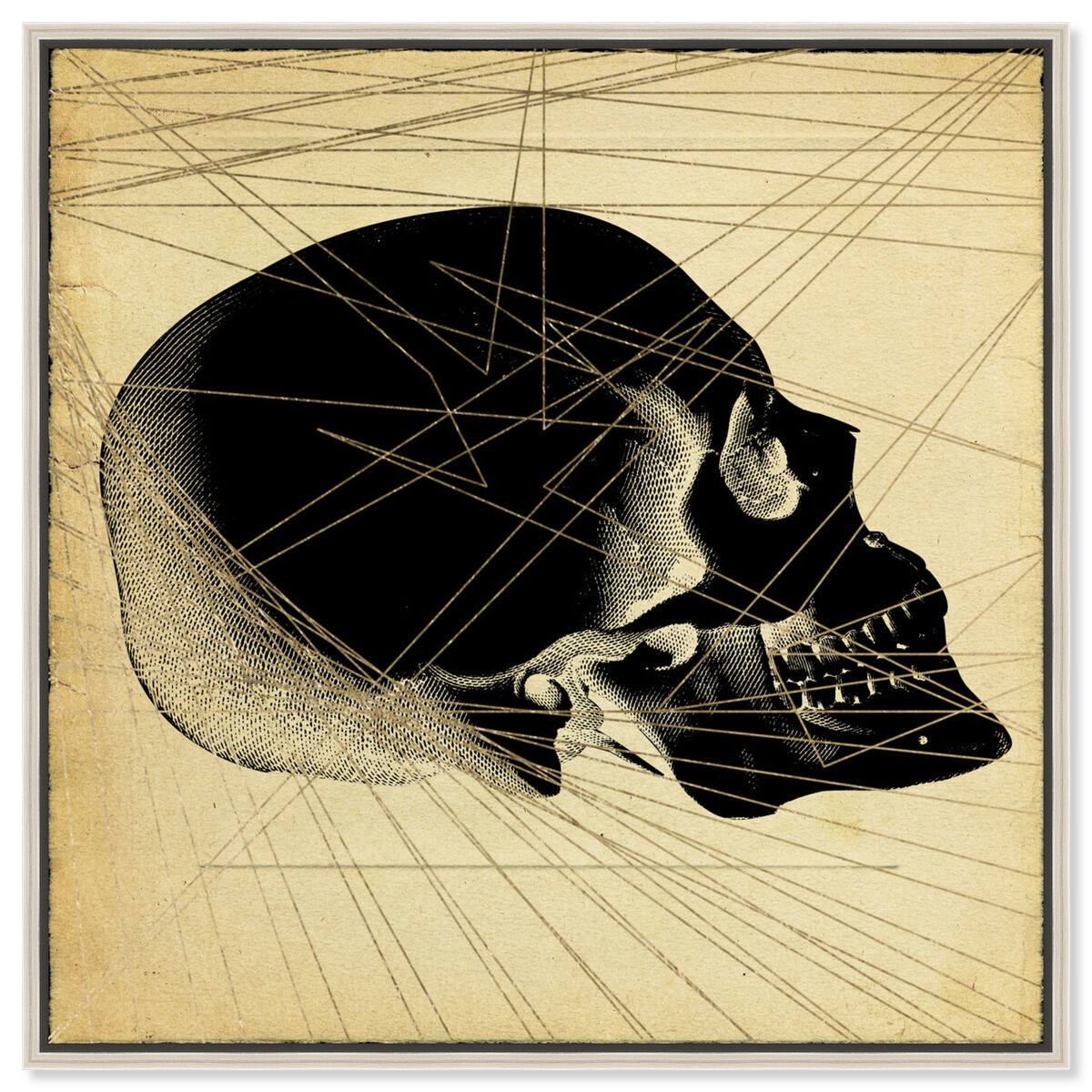 Skull Side Print