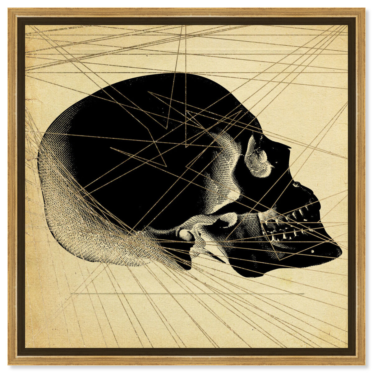 Skull Side Print