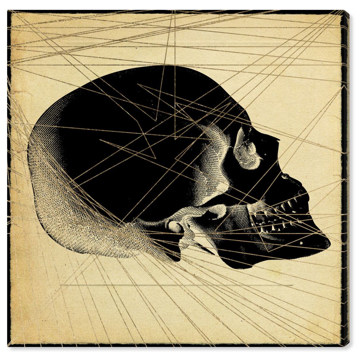 Skull Side Print