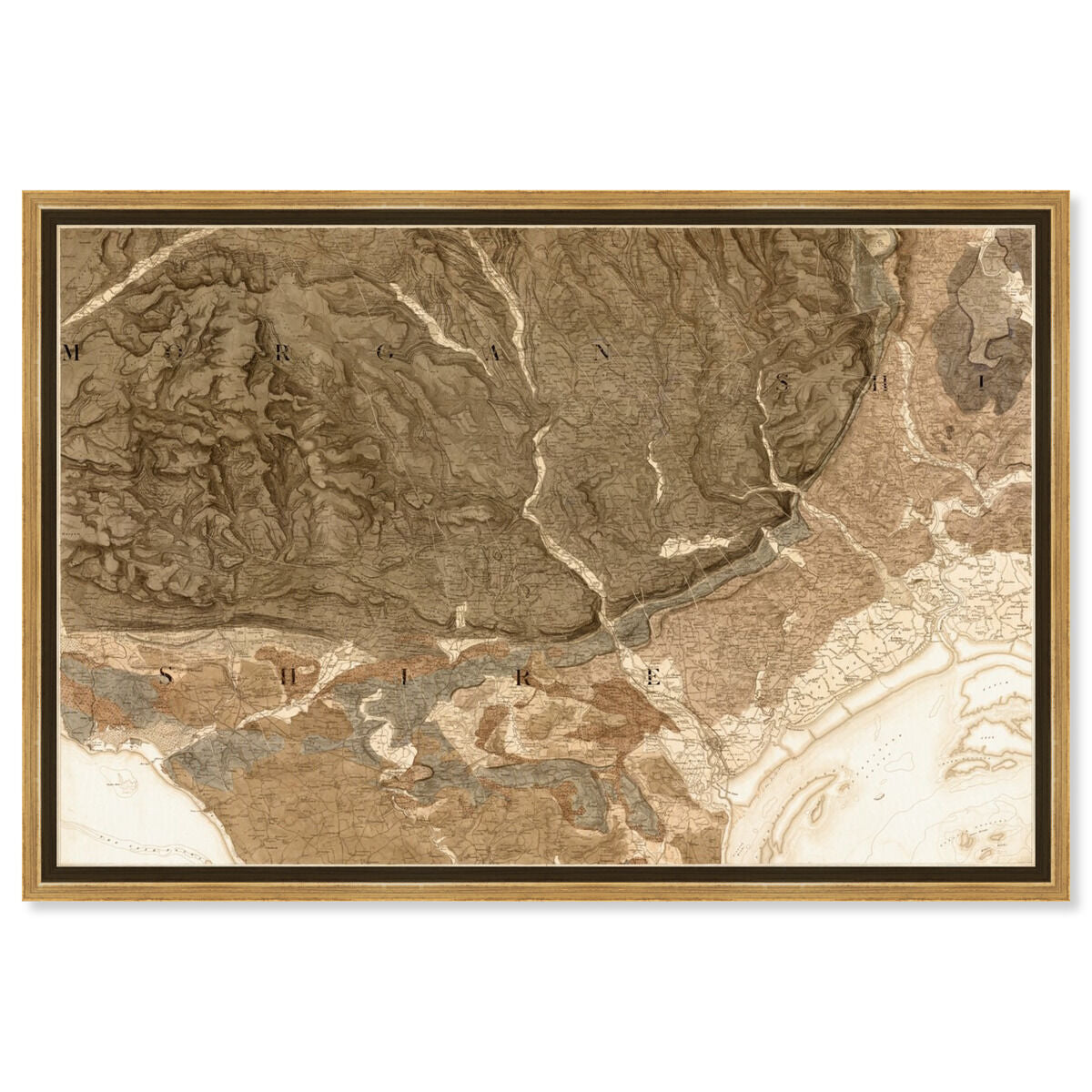 Cardiff 1856 Map
