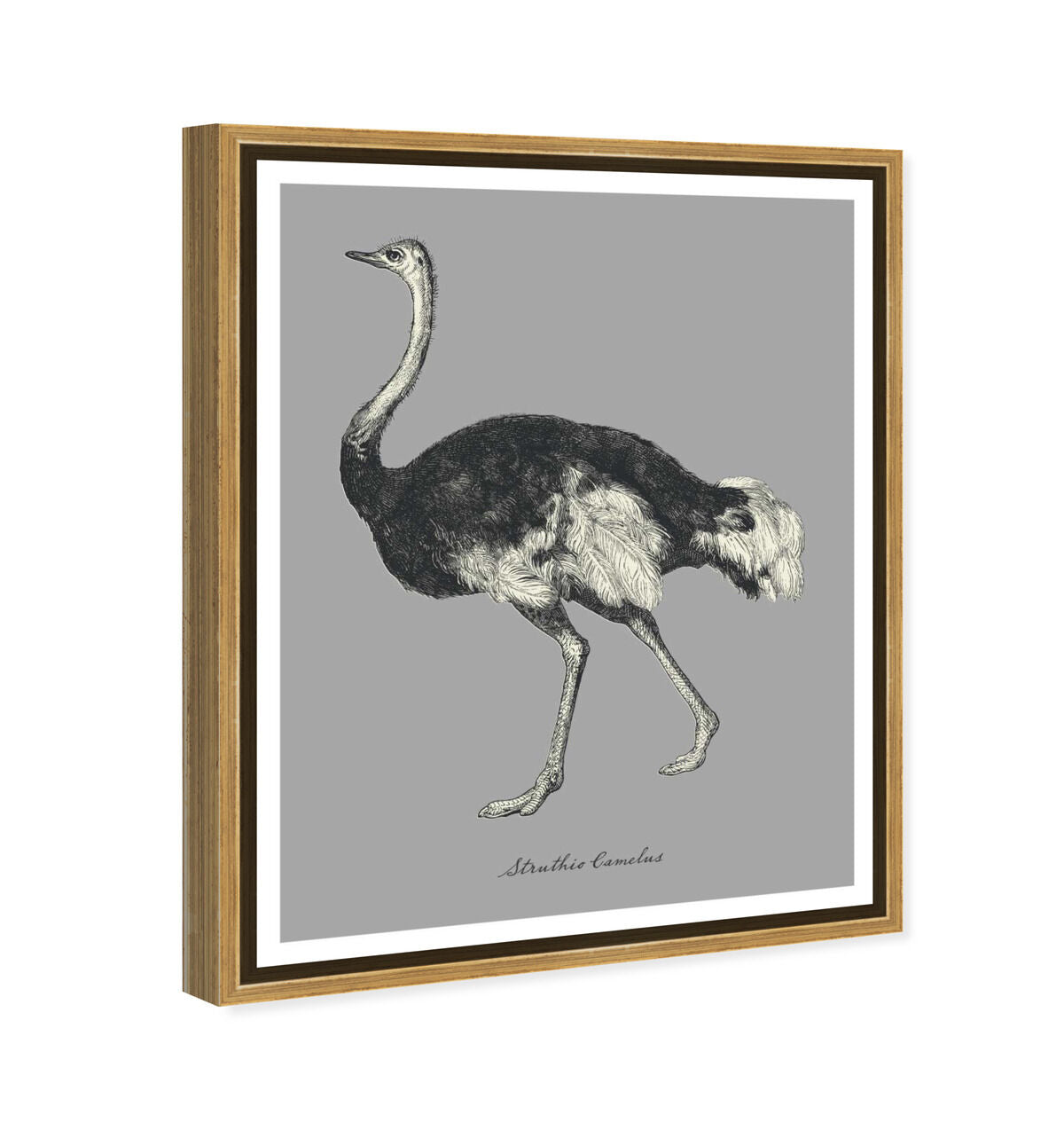 36x45/Framed Canvas/PSGLD