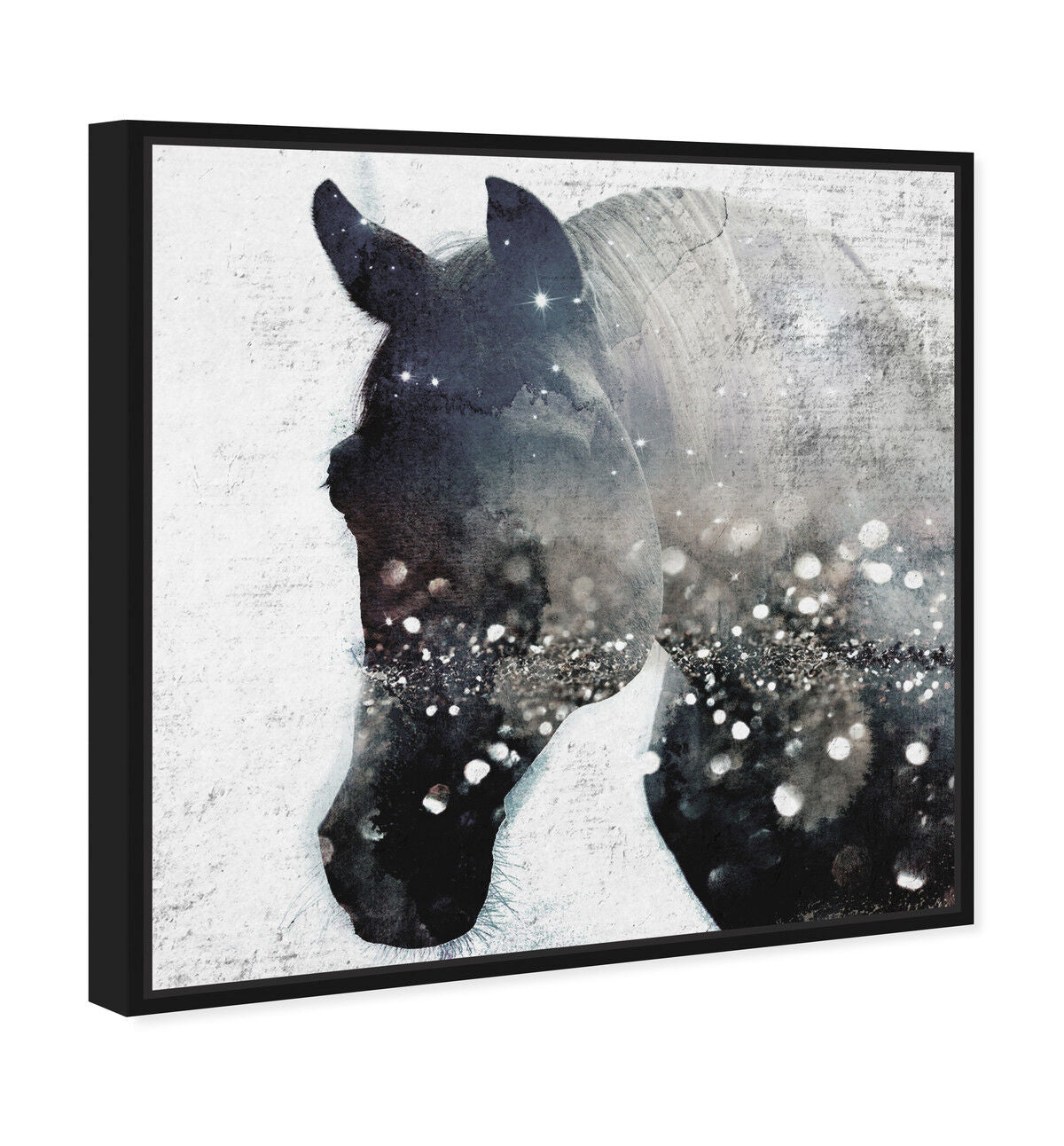 40x40/Framed Canvas/BFL