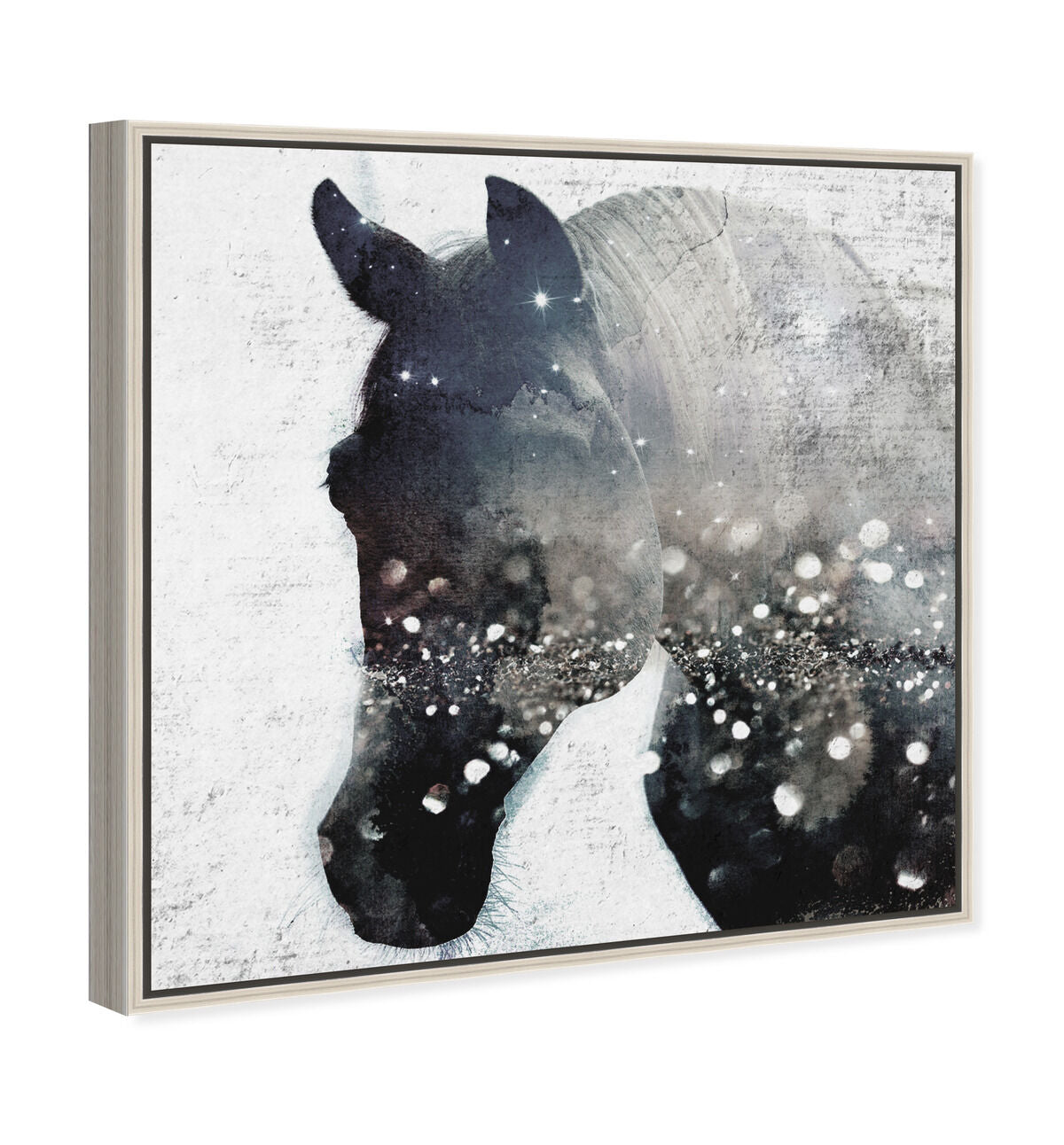 40x40/Framed Canvas/CFL