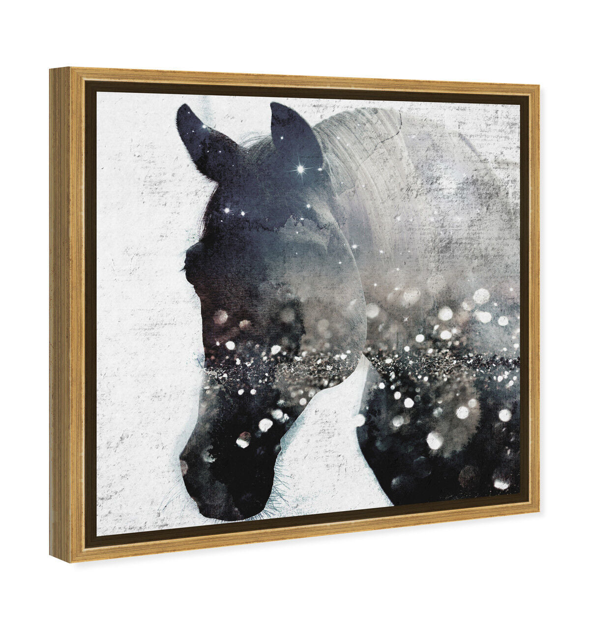 40x40/Framed Canvas/PSGLD