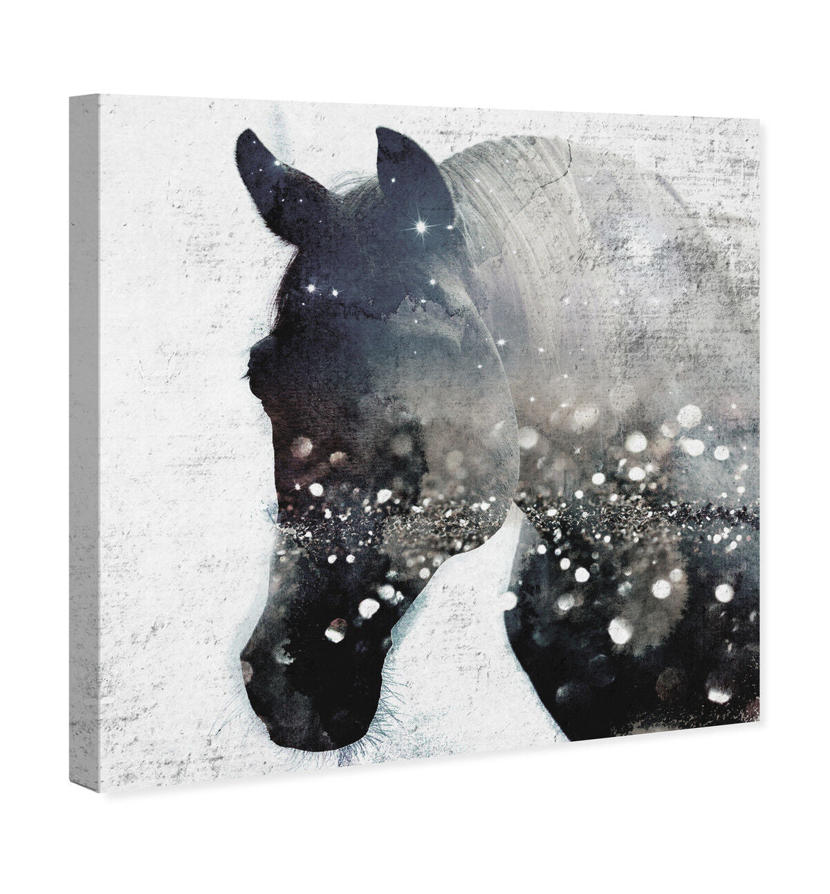 40x40/Canvas/XHD