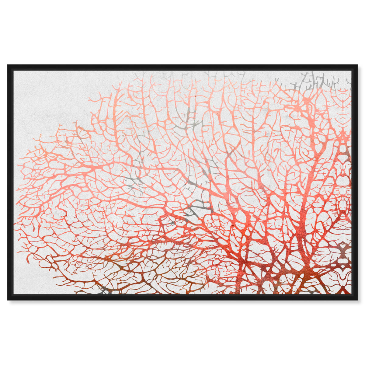 54x36/Framed Canvas/BFL