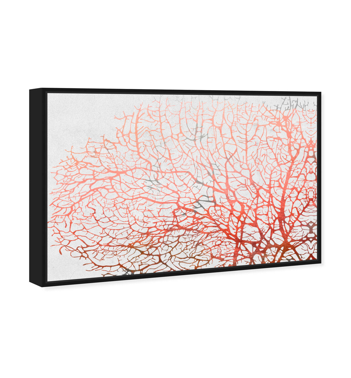 54x36/Framed Canvas/BFL