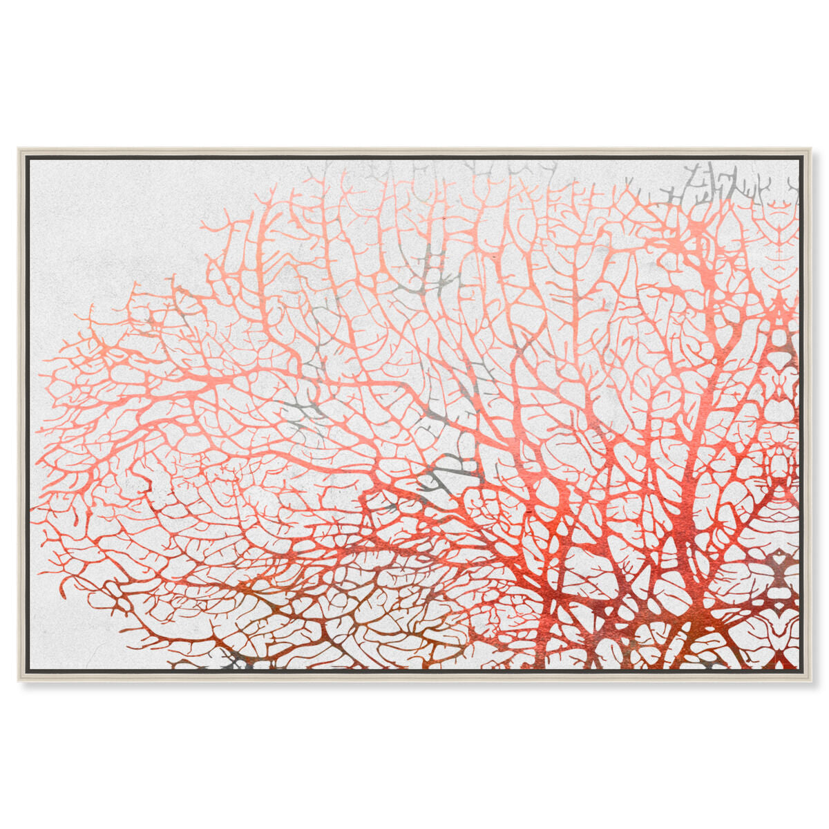 54x36/Framed Canvas/CFL