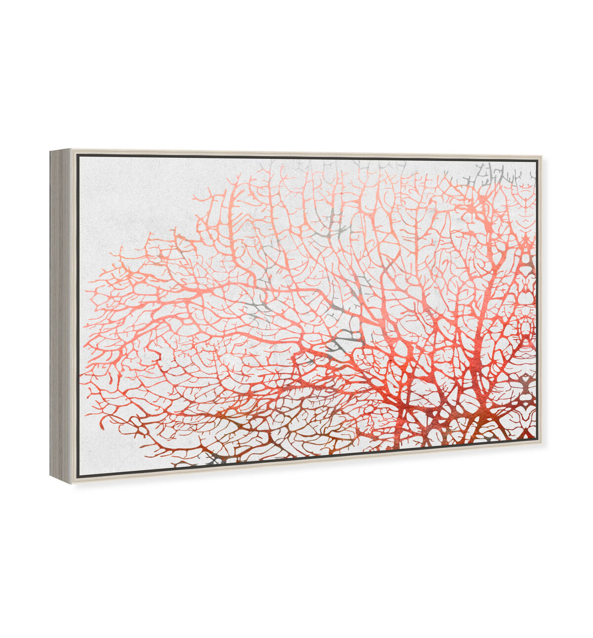 54x36/Framed Canvas/CFL