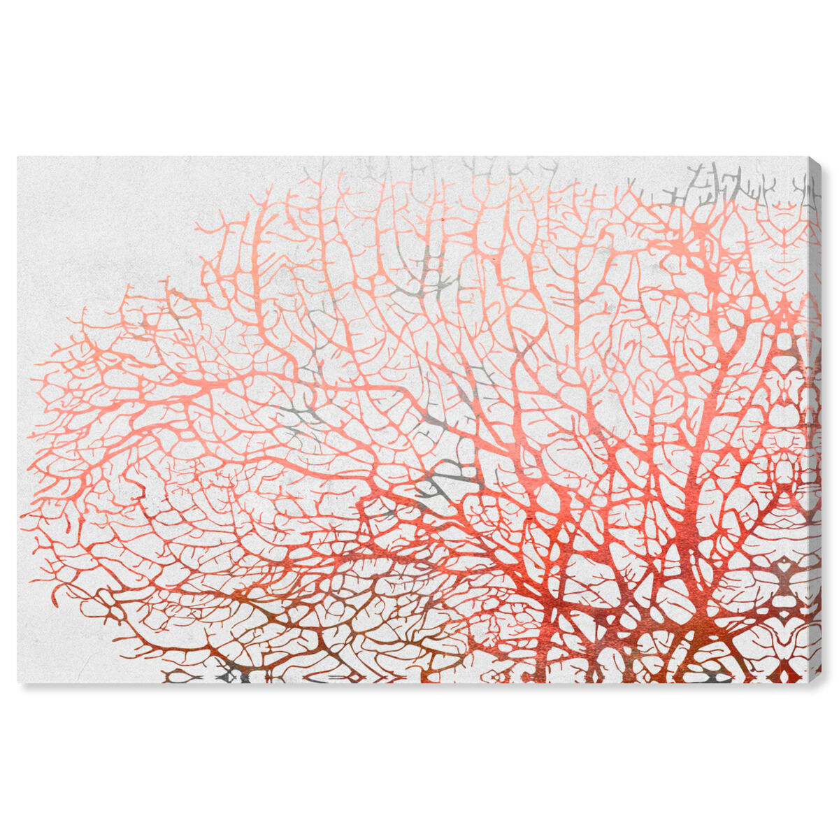 54x36/Canvas/XHD