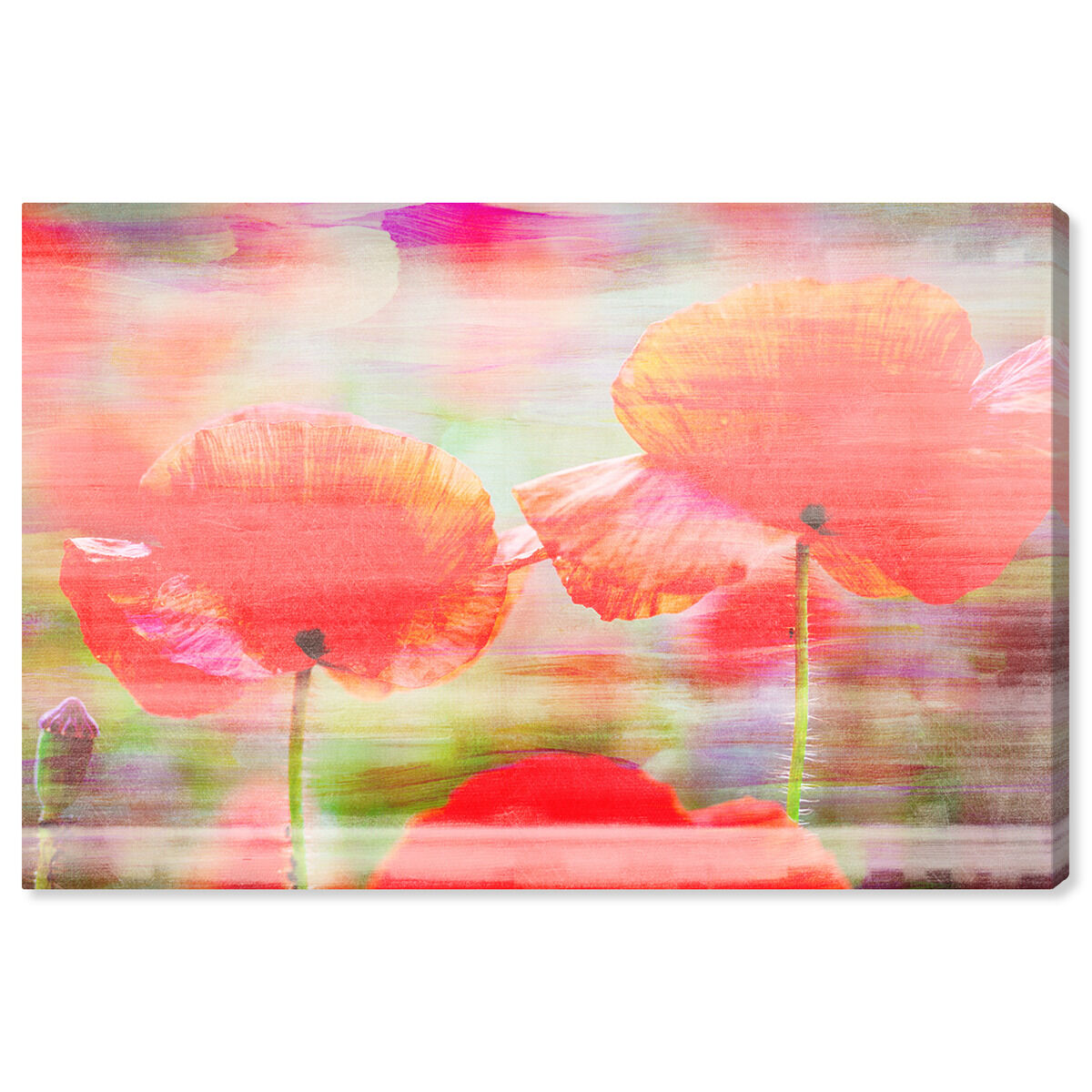 54x36/Canvas/XHD