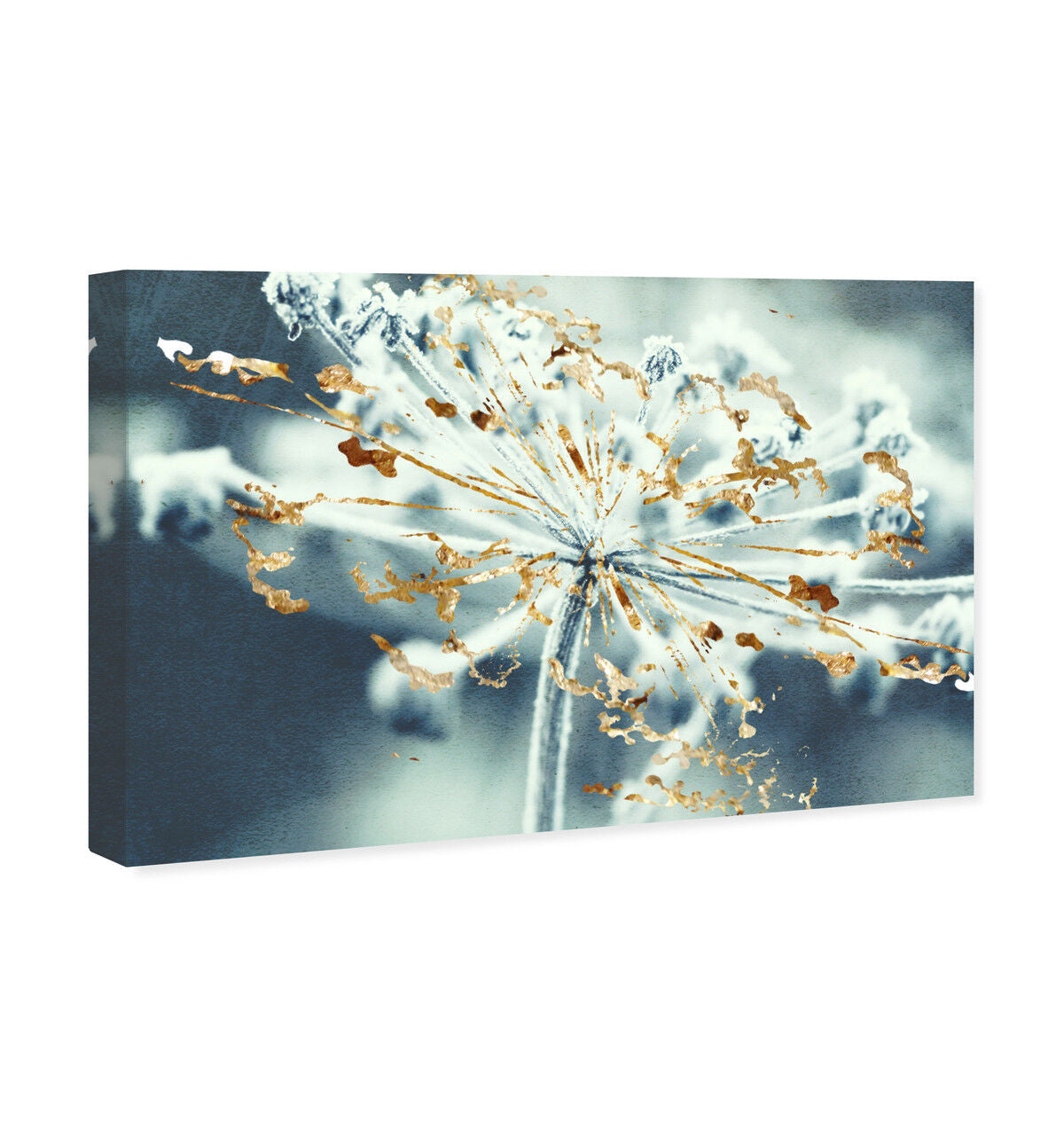 54x36/Canvas/XHD