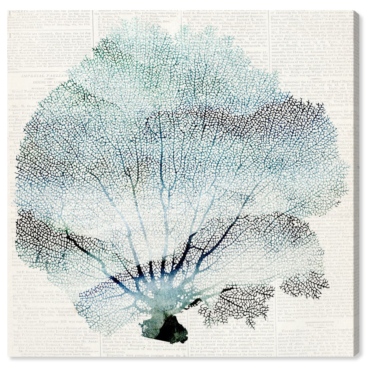 40x40/Canvas/XHD