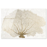 Gold Coral Fan