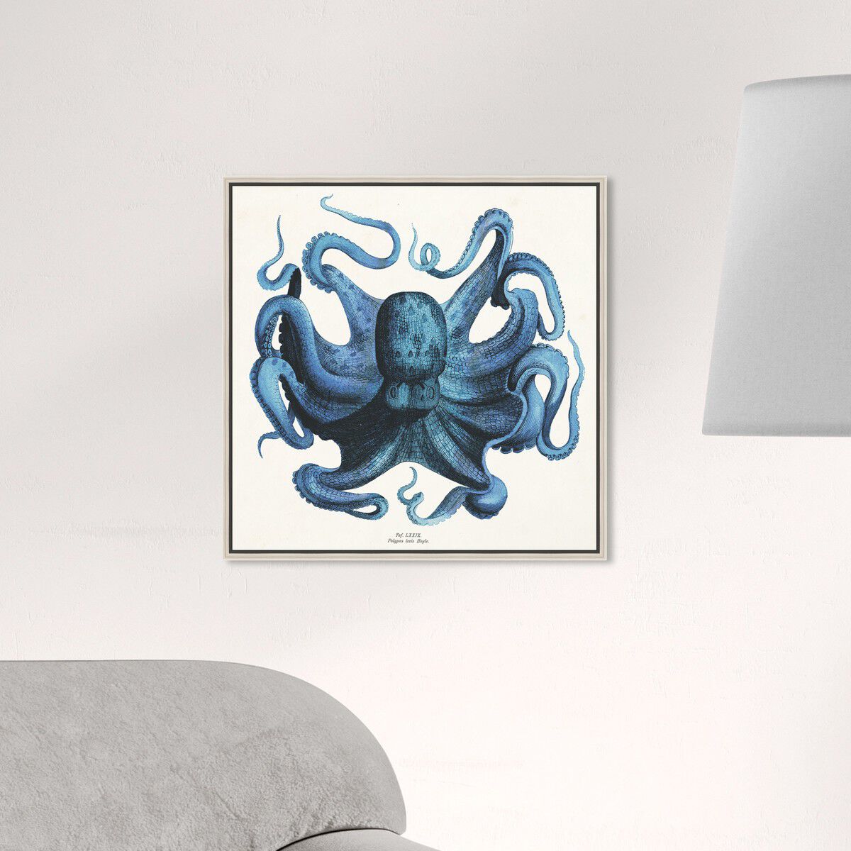 40x40/Framed Canvas/CFL