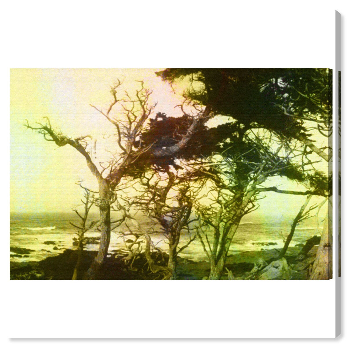54x36/Canvas/XHD