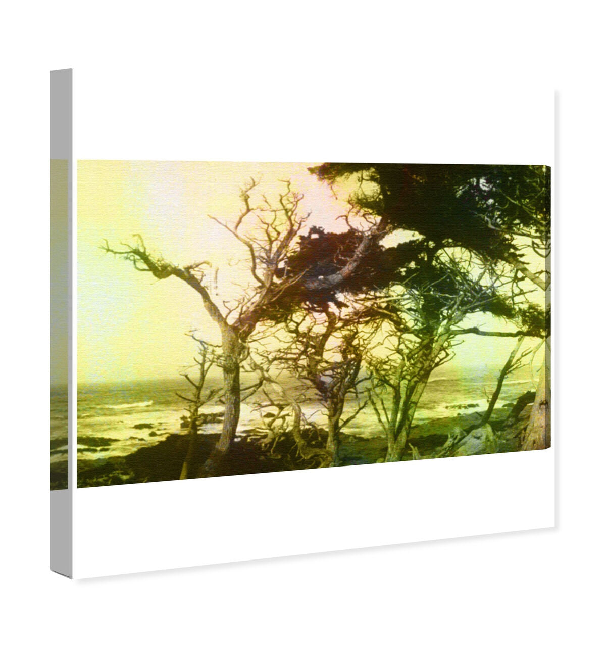54x36/Canvas/XHD