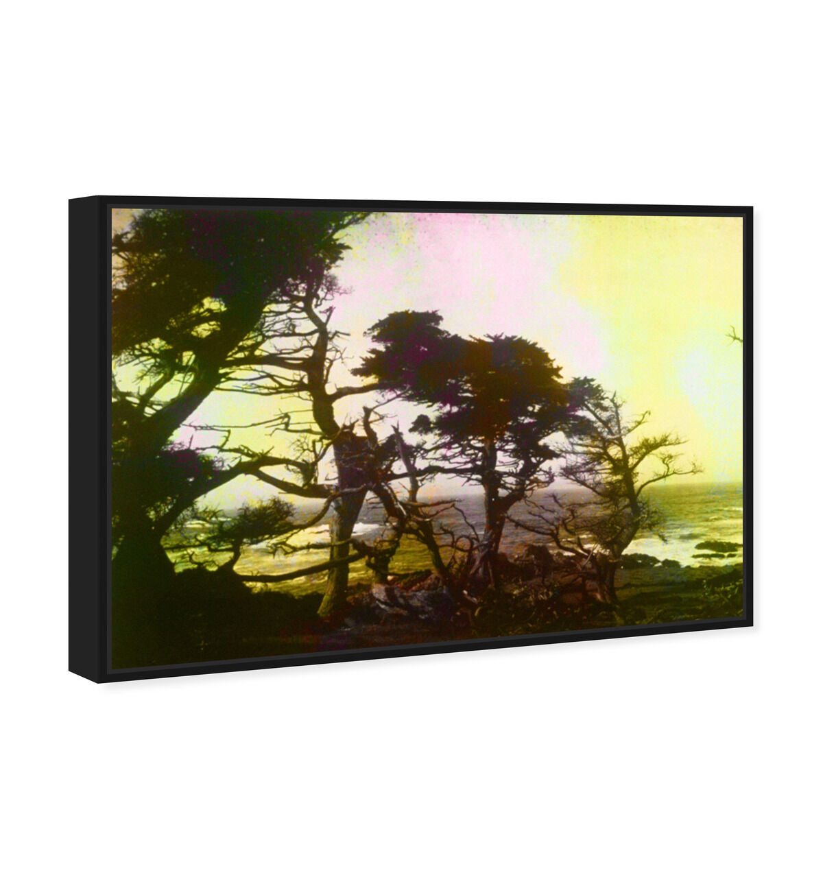 54x36/Framed Canvas/BFL