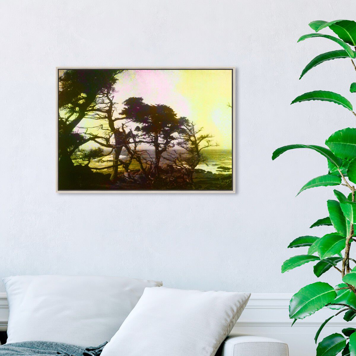 54x36/Framed Canvas/CFL