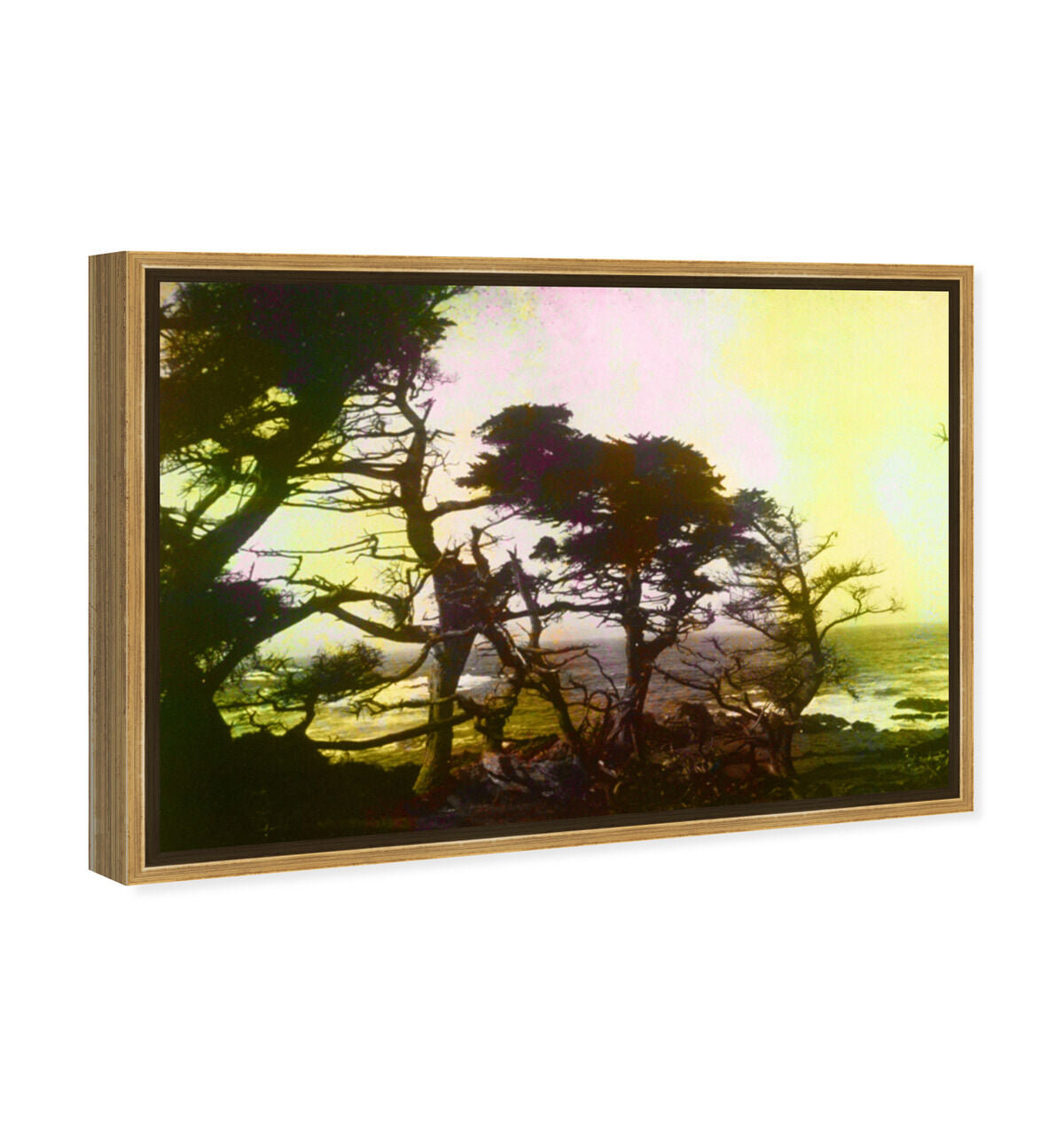 54x36/Framed Canvas/PSGLD