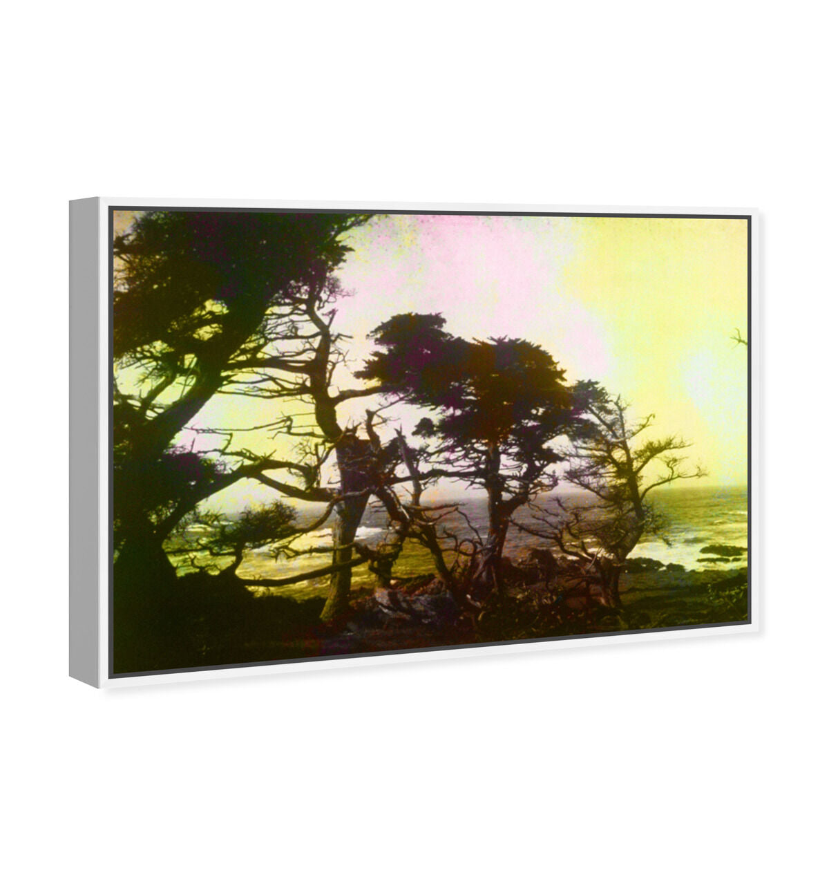 54x36/Framed Canvas/WFL