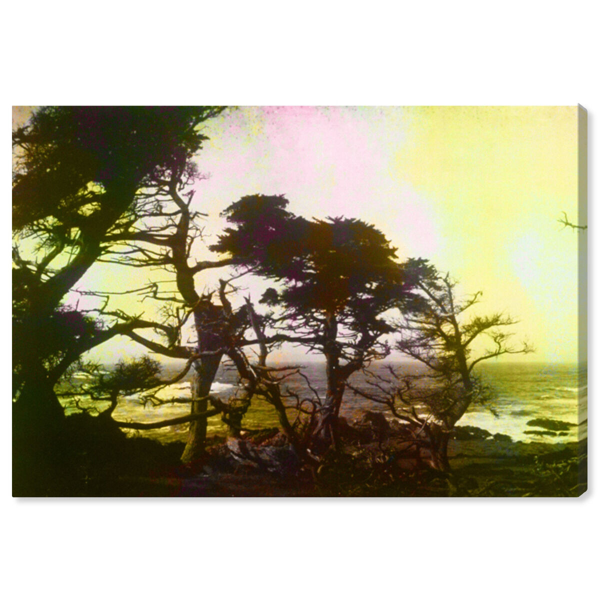 54x36/Canvas/XHD