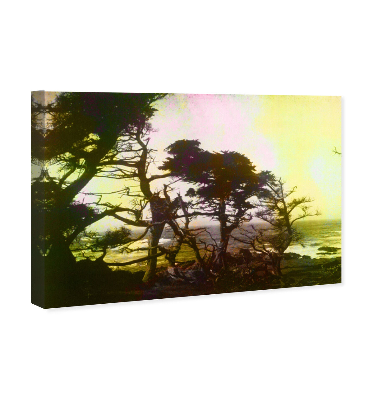 54x36/Canvas/XHD