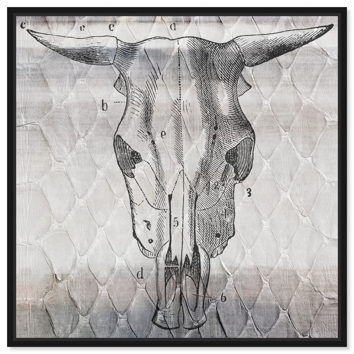 40x40/Framed Canvas/BFL
