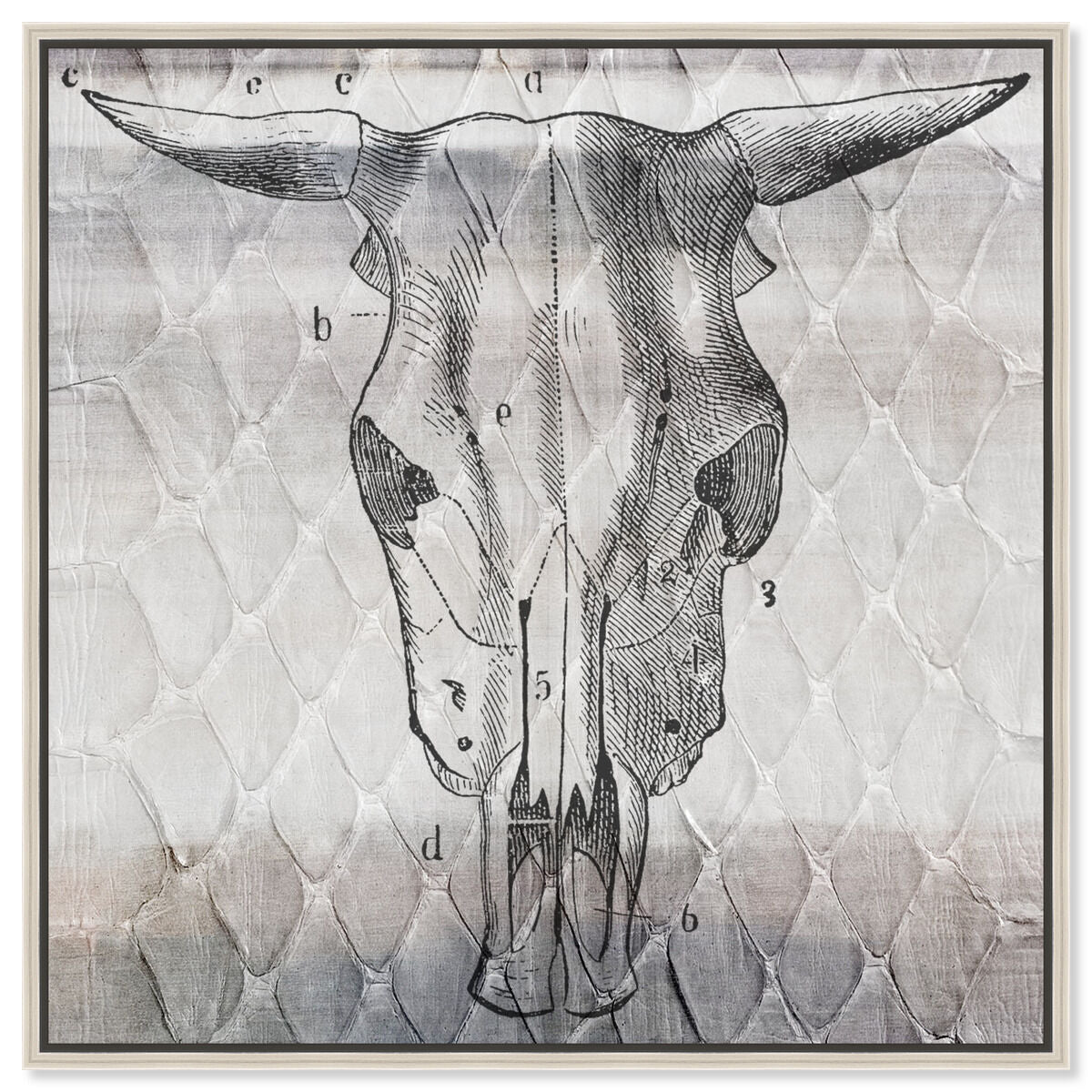 40x40/Framed Canvas/CFL
