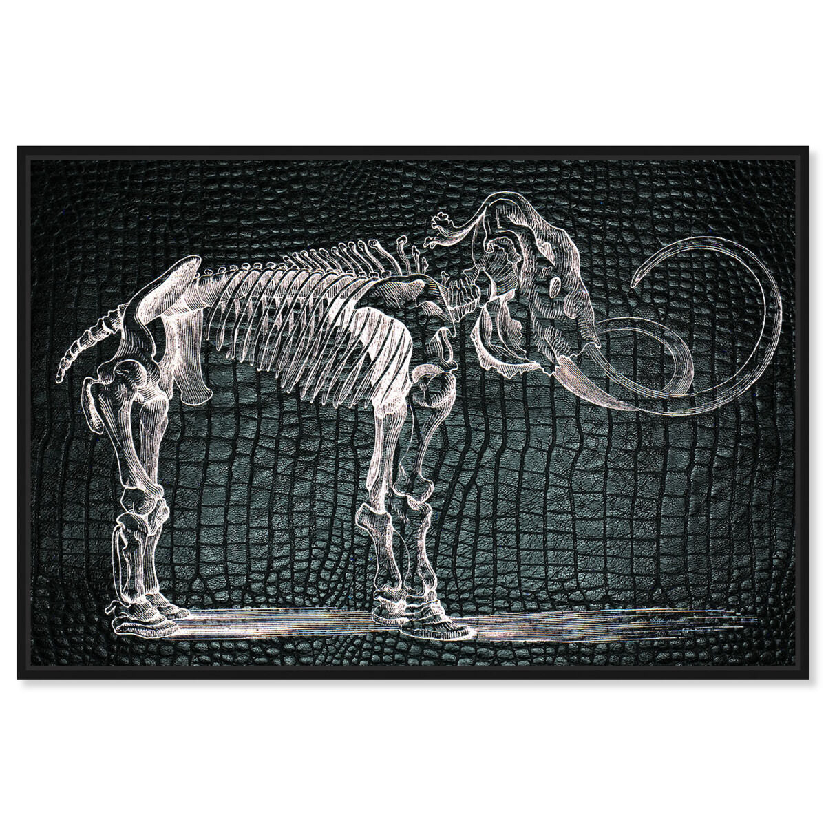 54x36/Framed Canvas/BFL