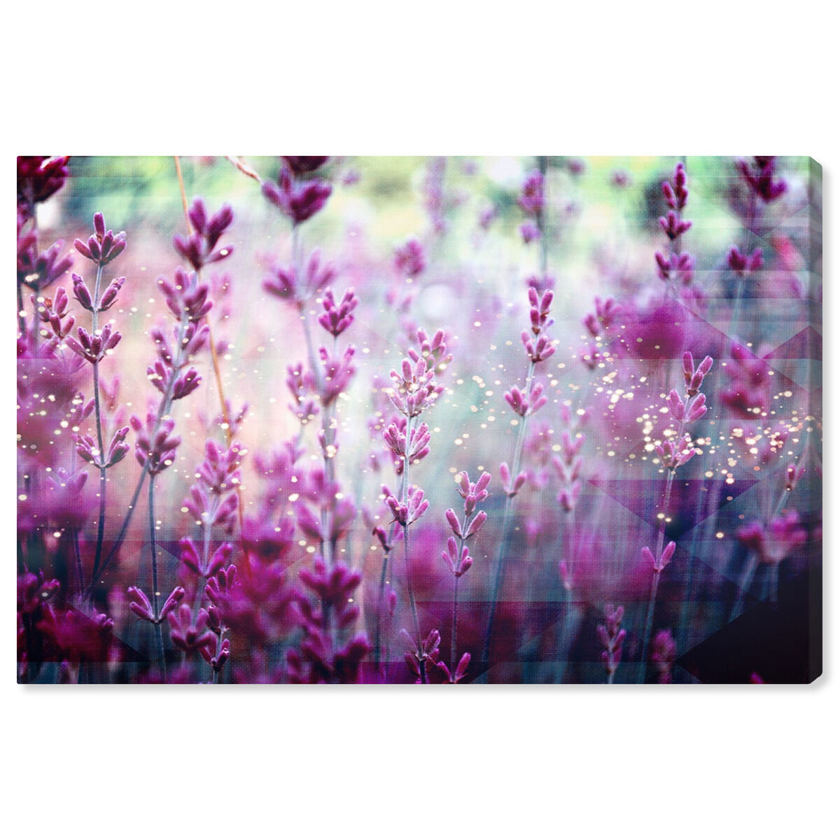 54x36/Canvas/XHD