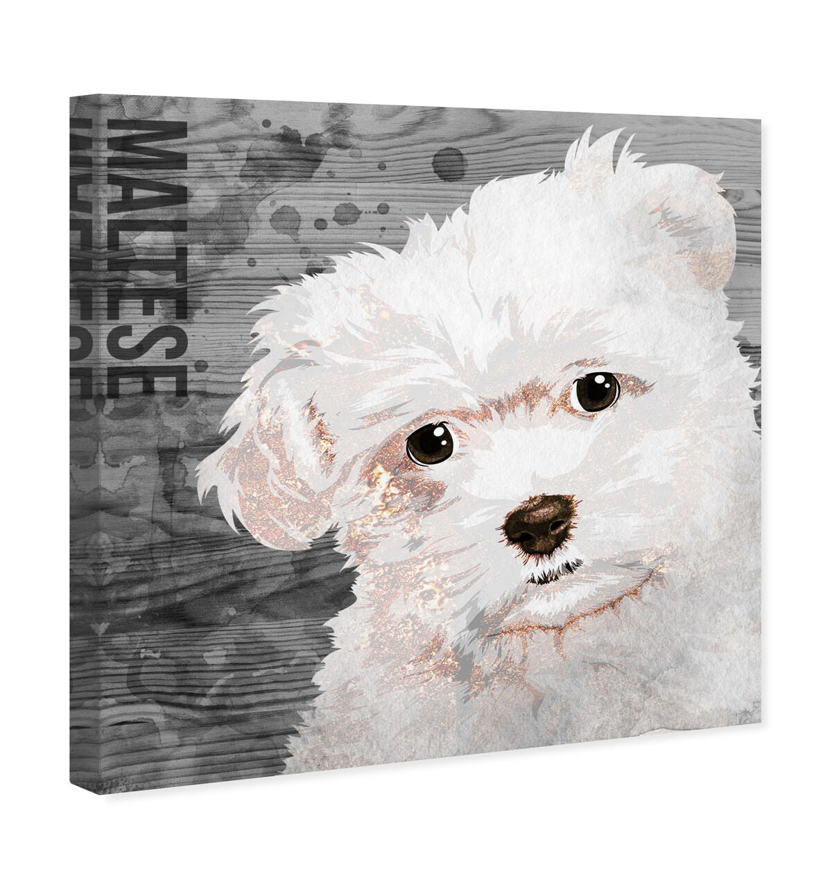 40x40/Canvas/XHD