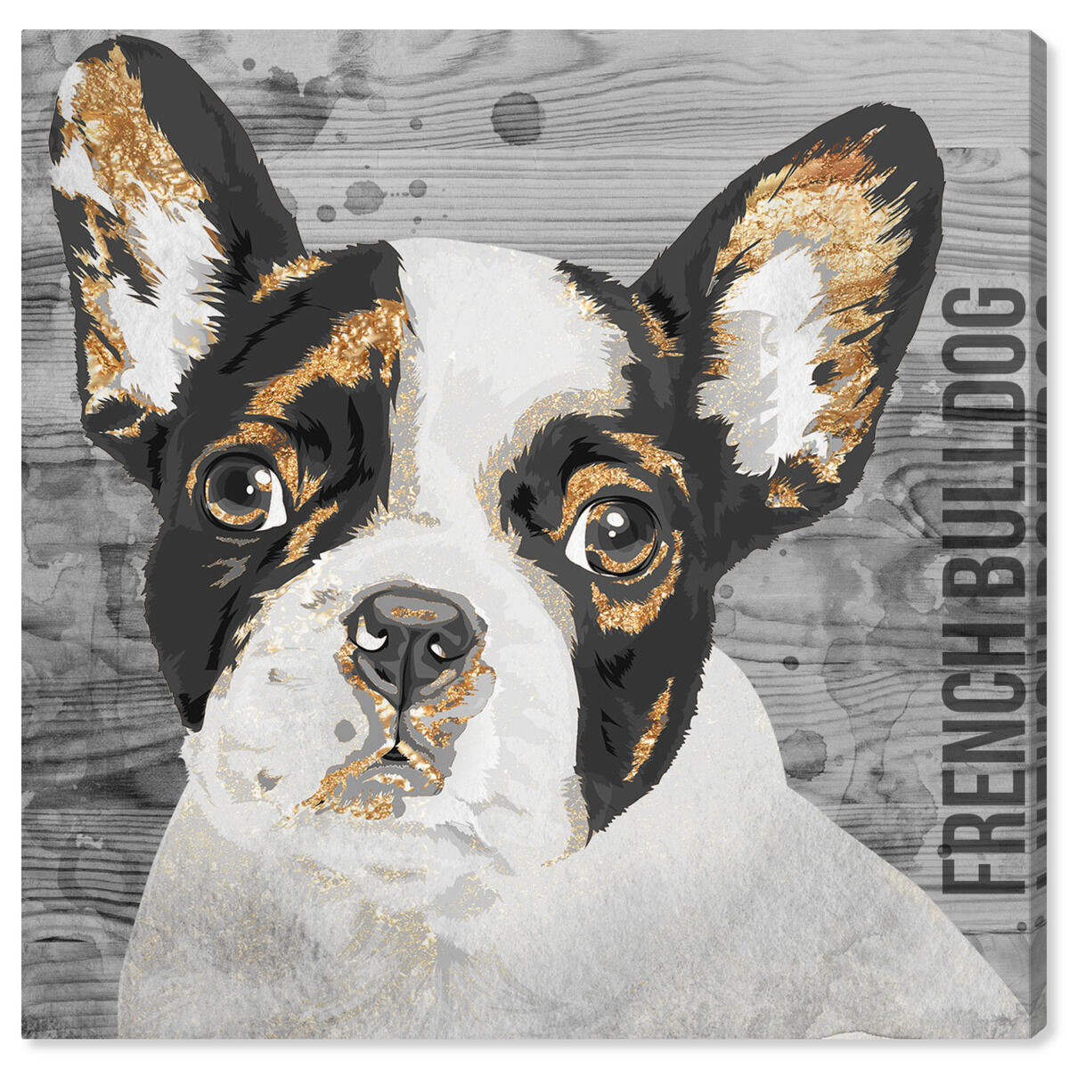 新品 オリバーガル Olivergal Peek a boo Frenchi Peek a Boo Frenchie | By Oliver Gal