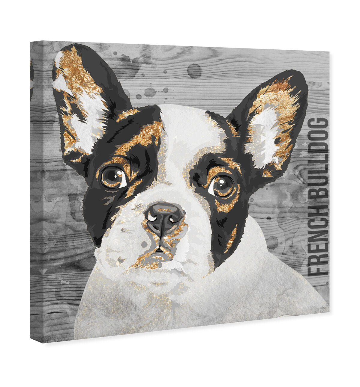 40x40/Canvas/XHD
